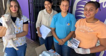 Vacinação Antirrábica em Cumaru do Norte